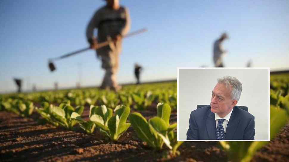 agricoltori calabresi_Arcea
