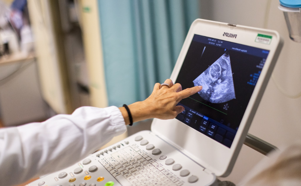 Cardiopatie, oggi si vive fino all’età adulta: a Rende il convegno "Dove ti porta il cuore" 53 cardiopatie congenite cosenza