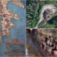 castello di scigliano 04