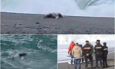 Ecatombe fantasma, una tragedia silenziosa. La scia di corpi restituiti dal mare tra Calabria e Sicilia 172 corpi restituiti dal mare calabria