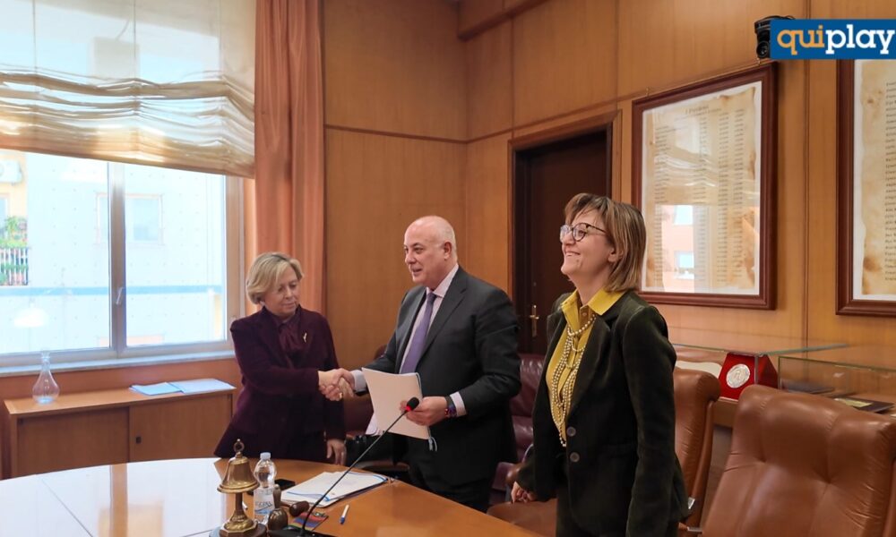 FAI e Camera di Commercio di Cosenza insieme per valorizzare i Giganti della Sila