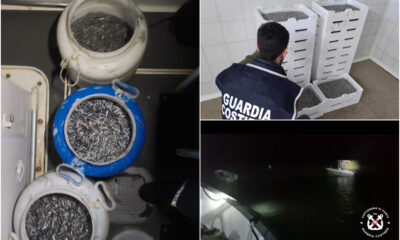 guardia costiera pesca novellame 01