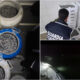 guardia costiera pesca novellame 01