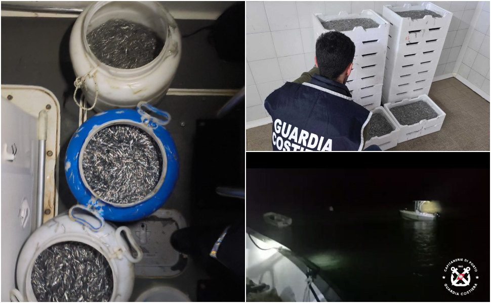 guardia costiera pesca novellame 01