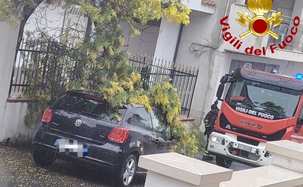 maltempo vigili del fuoco alberi caduti 01