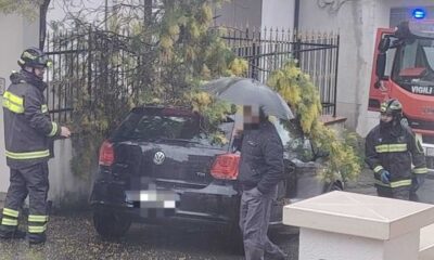 maltempo vigili del fuoco alberi caduti 02