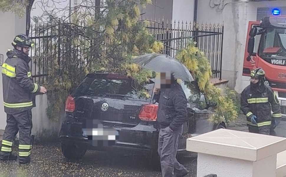 maltempo vigili del fuoco alberi caduti 02