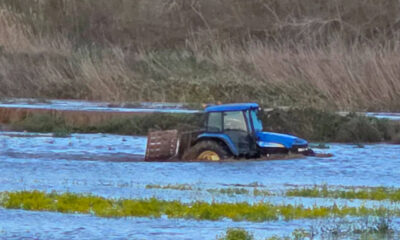 Alluvione nella Piana di Sibari: Articolo Ventuno «una strategia chiara per prevenire il futuro» 138 piana di sibari-crati-agricoltura-maltempo