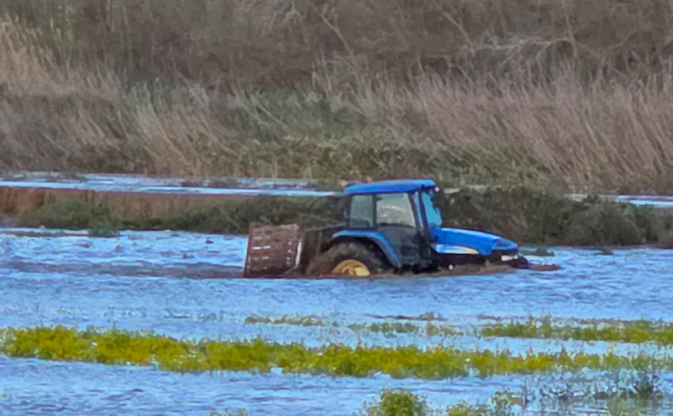 Alluvione nella Piana di Sibari: Articolo Ventuno «una strategia chiara per prevenire il futuro» 119 piana di sibari-crati-agricoltura-maltempo
