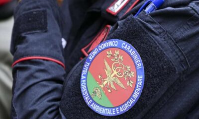 video fucile - carabinieri forestali