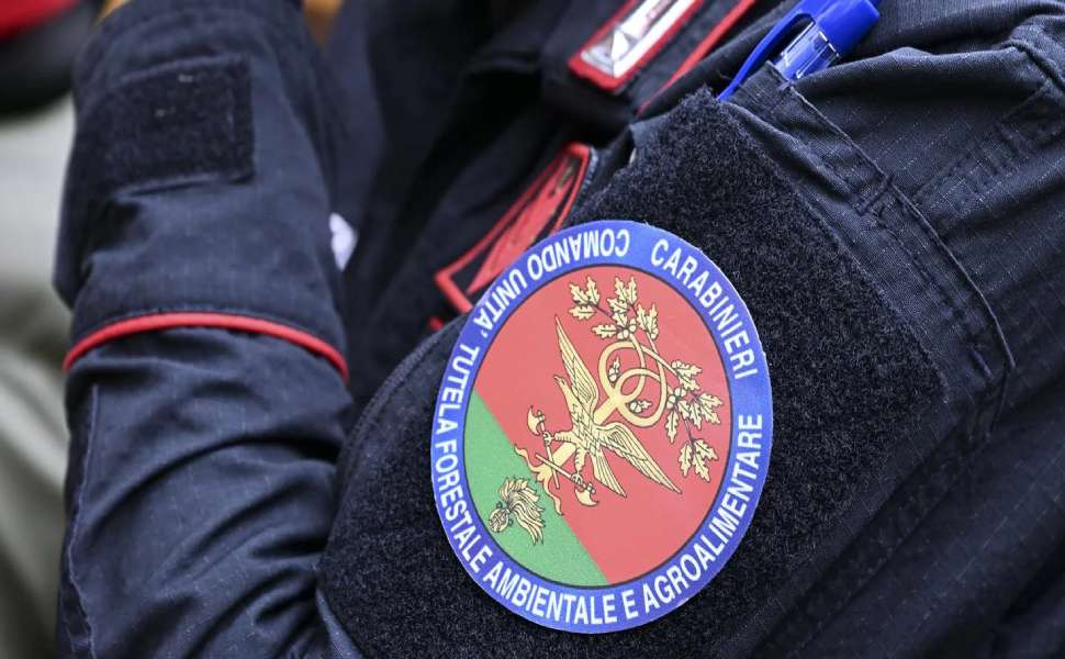 video fucile - carabinieri forestali