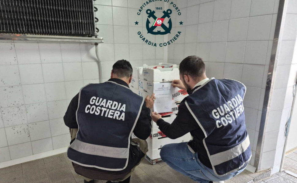 100 chili di novellame di sarda illegale: guarda Costiera