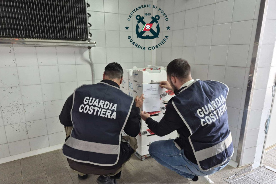 100 chili di novellame di sarda illegale: guarda Costiera
