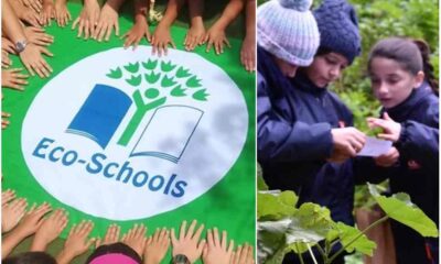 Calabria_scuole_green