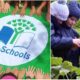 Calabria_scuole_green