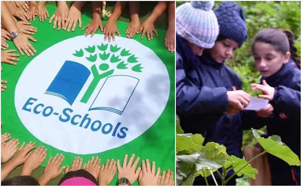 Calabria, la rivoluzione green parte dalle scuole: 1,2 milioni di euro per formare alla sostenibilità ambientale 51 Calabria_scuole_green