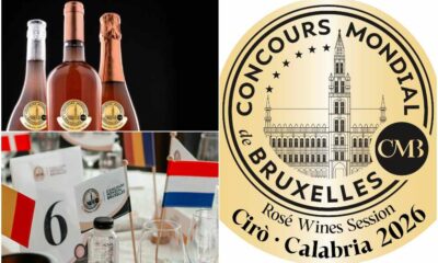 Concours Mondiale de Bruxelles Cirò 2026 (1)