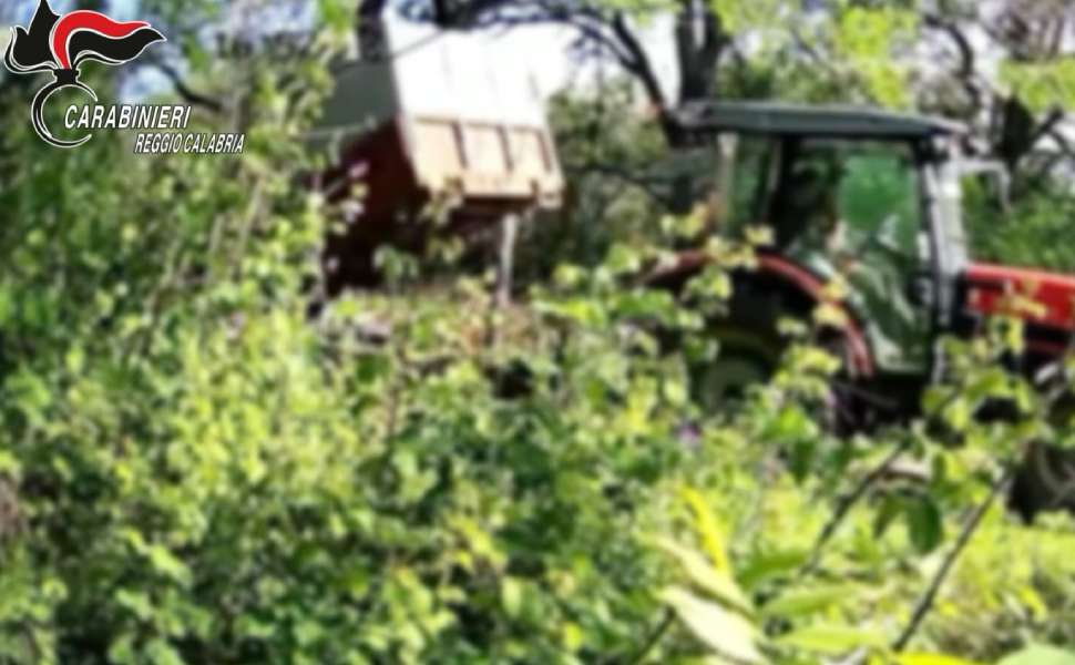 Discarica abusiva all’interno di un burrone naturale: 15 denunce, scatta il sequestro 52 Discarica carabinieri taurianova 06