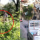Discarica carabinieri taurianova 07