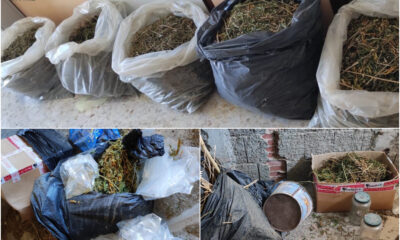 Droga Cirò marina 18 chili di marijuana