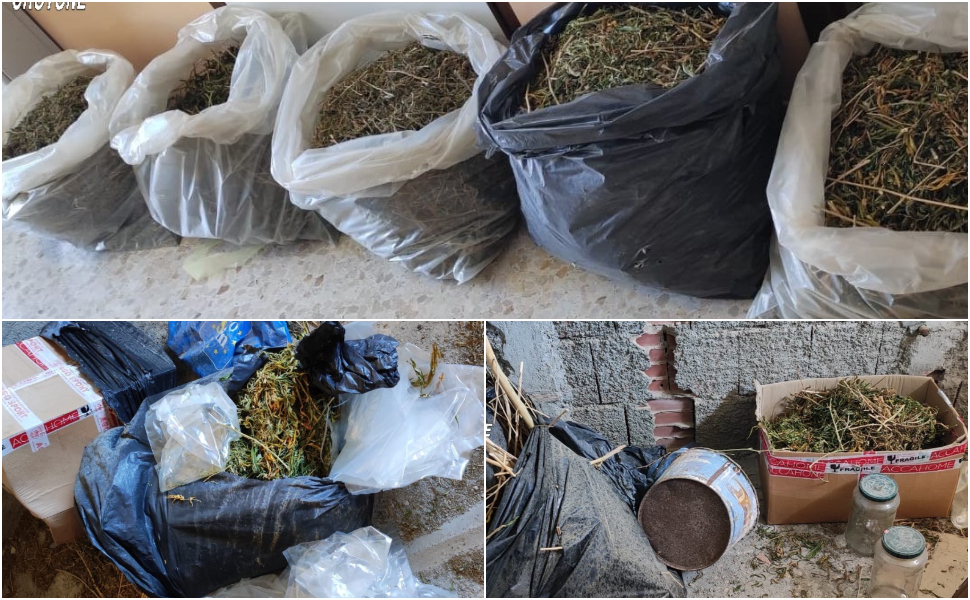 Droga Cirò marina 18 chili di marijuana