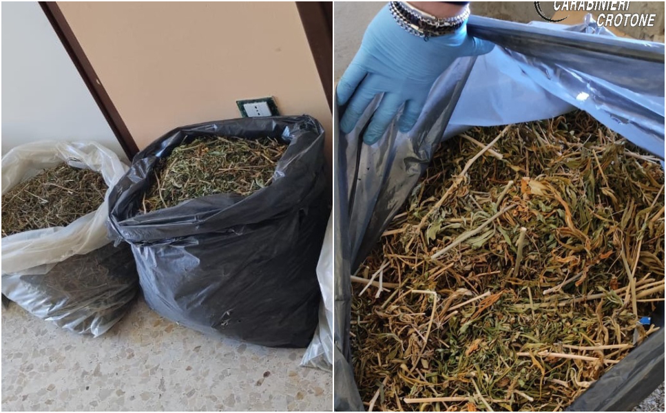 Droga Cirò marina 18 chili di marijuana