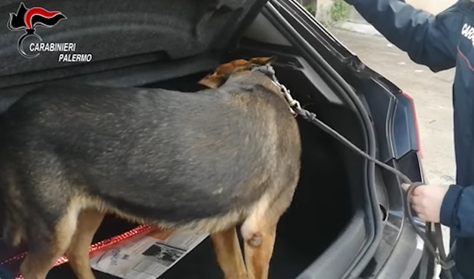 Nell’auto truccata una "cassaforte mobile" con 20 chili di droga. Arrestati padre e figlio 53 Droga Palermo