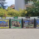 Ecoisole Cosenza