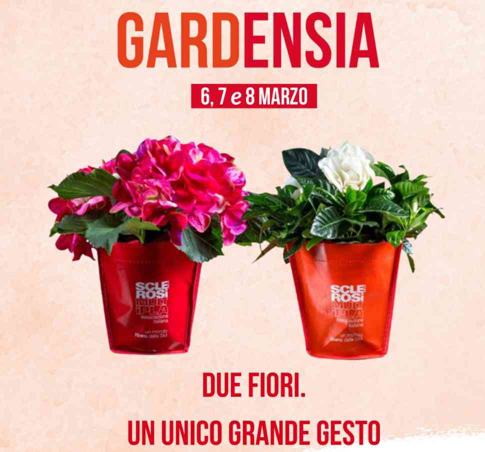 Fermare la sclerosi multipla con un fiore, torna nelle piazze di Cosenza Gardensia di AISM 52 Gardensia sclerosi multipla