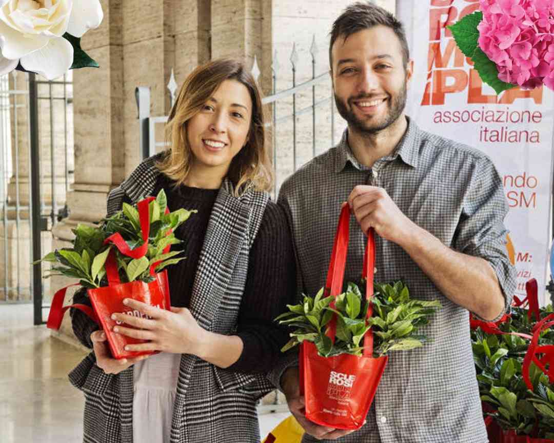 Fermare la sclerosi multipla con un fiore, torna nelle piazze di Cosenza Gardensia di AISM 53 Gardensia sclerosi multipla