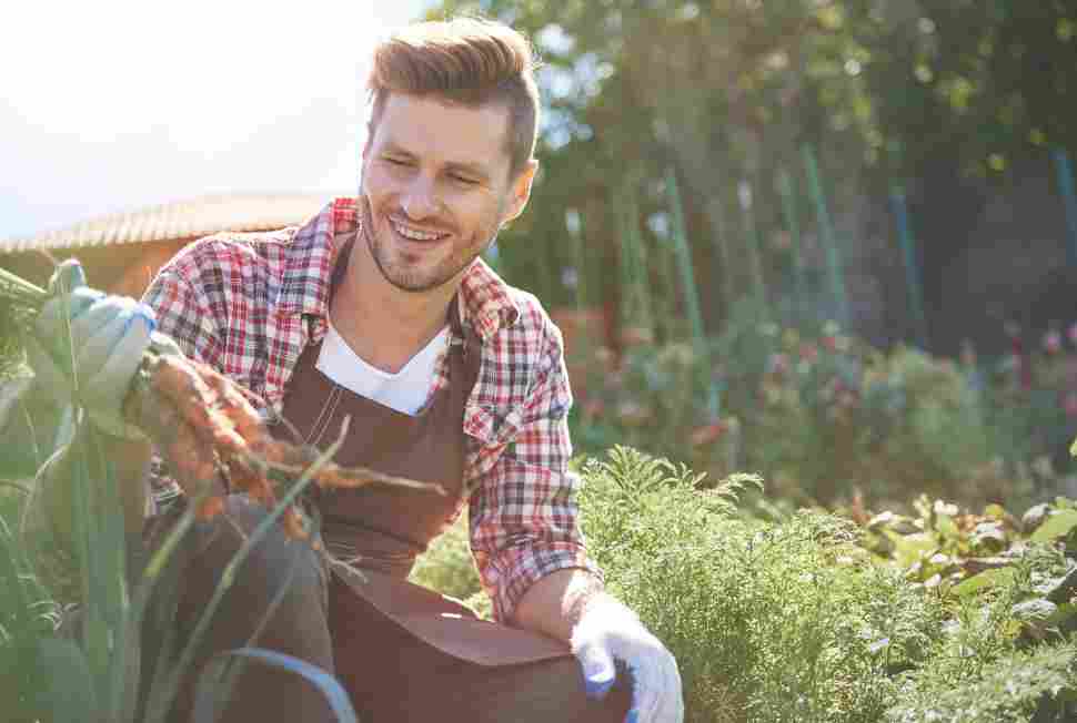 Riparte "Generazione Terra": 120 milioni di euro per i giovani agricoltori 53 Giovani_agricoltori
