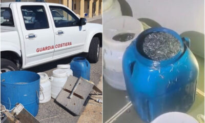 Guardia Costiera sequestro novellame di sarda