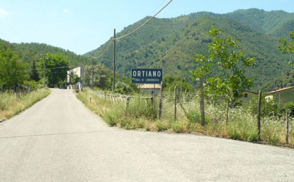 Longobucco: 150 mila euro per mettere in sicurezza la strada interpoderale di Ortiano 51 Longobucco - frazione Ortiano