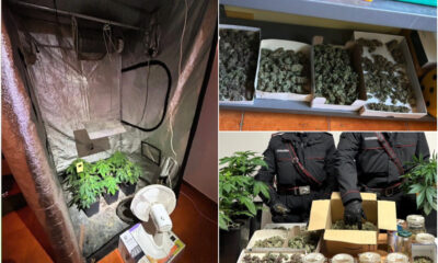 Marijuana e semi cannabis