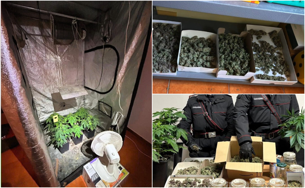 Marijuana e semi cannabis