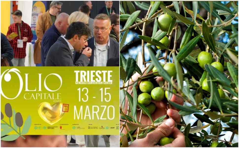 Olio Capitale Trieste 2026, dove il profumo del mare incontra l'eccellenza dell'extravergine 52 Olio Capitale Trieste 2026