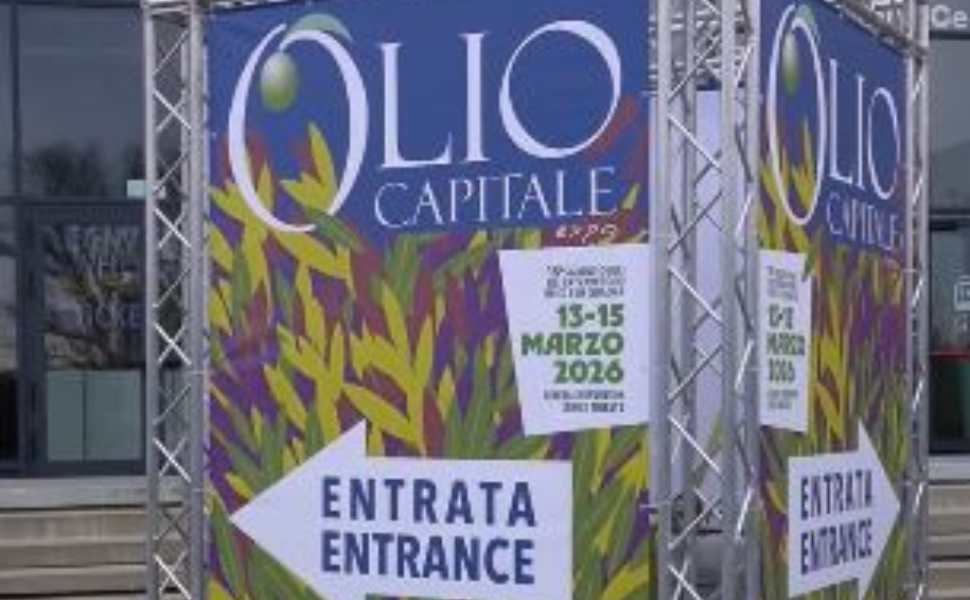Olio Capitale Trieste 2026, dove il profumo del mare incontra l'eccellenza dell'extravergine 54 Olio Capitale Trieste 2026 novità