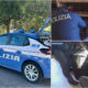 Operazione Pullo droga