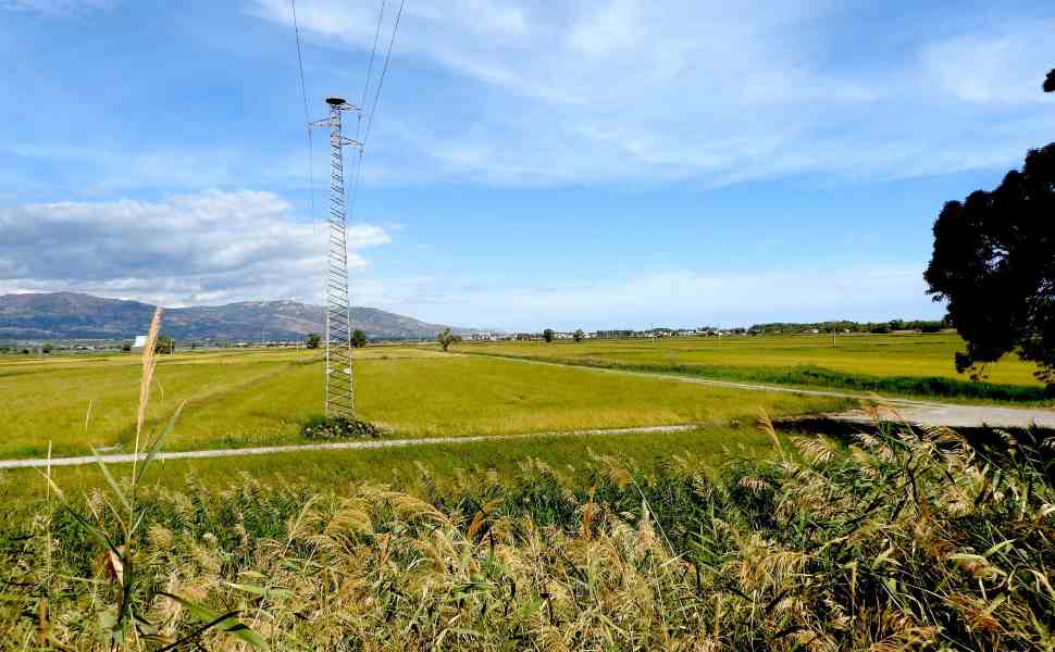 Sibari_area umida