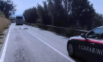 Travolto e ucciso da un autobus Vibonese giovane