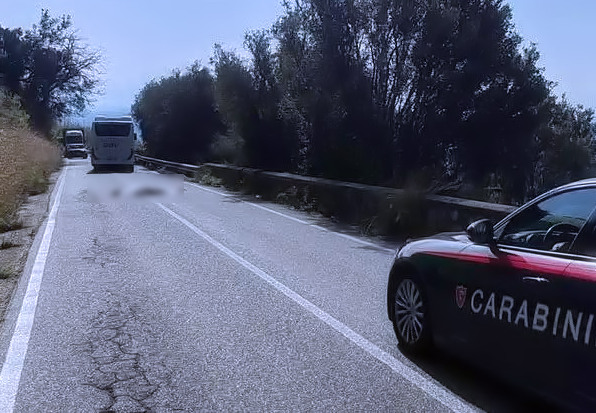 Travolto e ucciso da un autobus Vibonese giovane