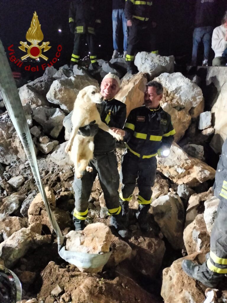 cane intrappolato tra i massi a Schiavonea