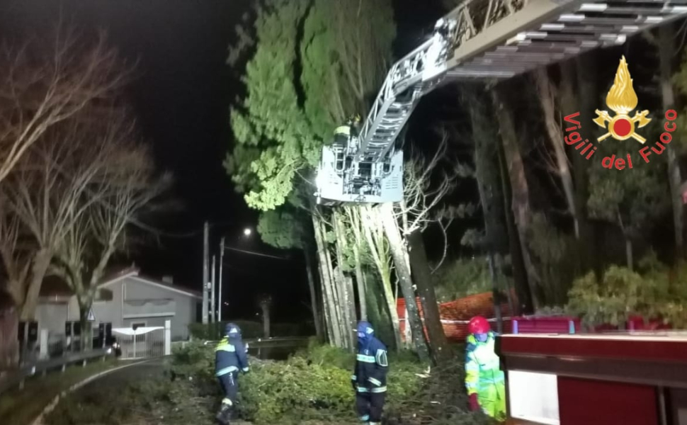 alberi rischio caduta strada Tiriolo 03