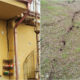 belvedere-marittimo-frana-casa-lesionata