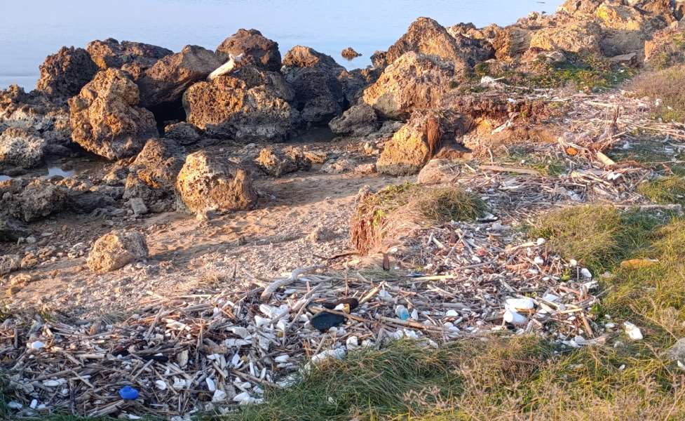 capo colonna inquinamento plastica 02