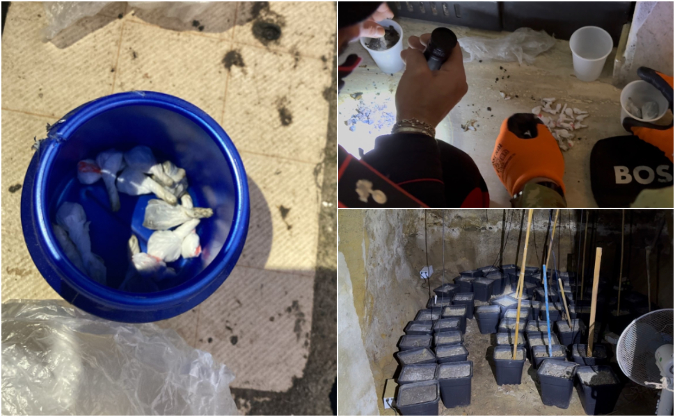 cocaina petilia policastro carabinieri 02