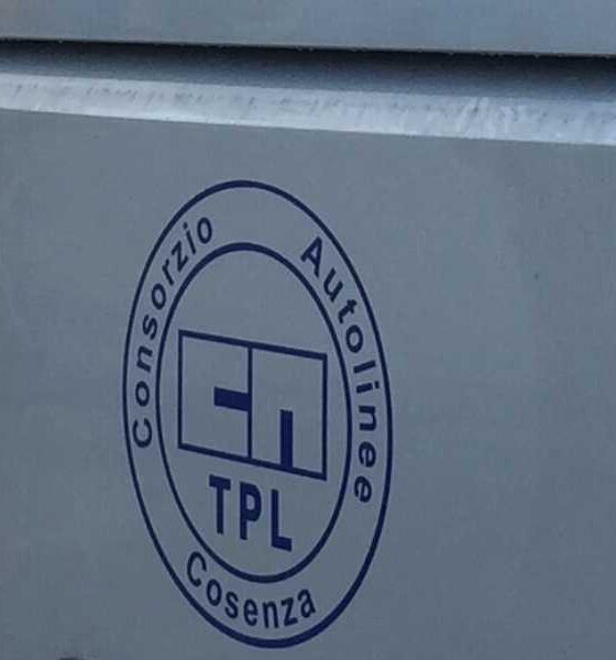 consorzio autolinee amaco