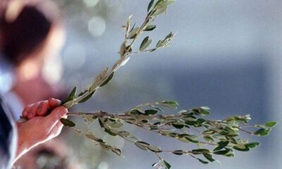 domenica delle palme 02