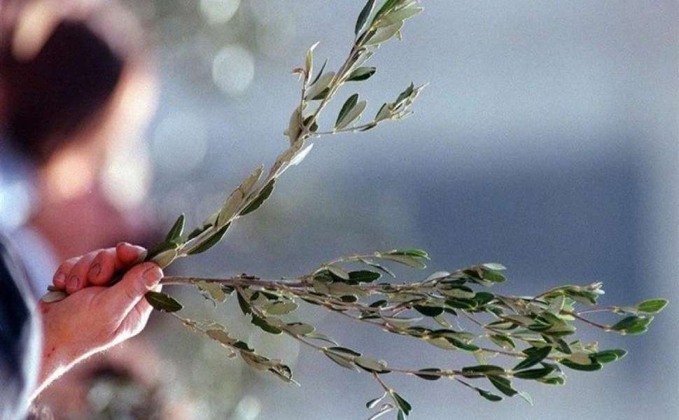 domenica delle palme 02