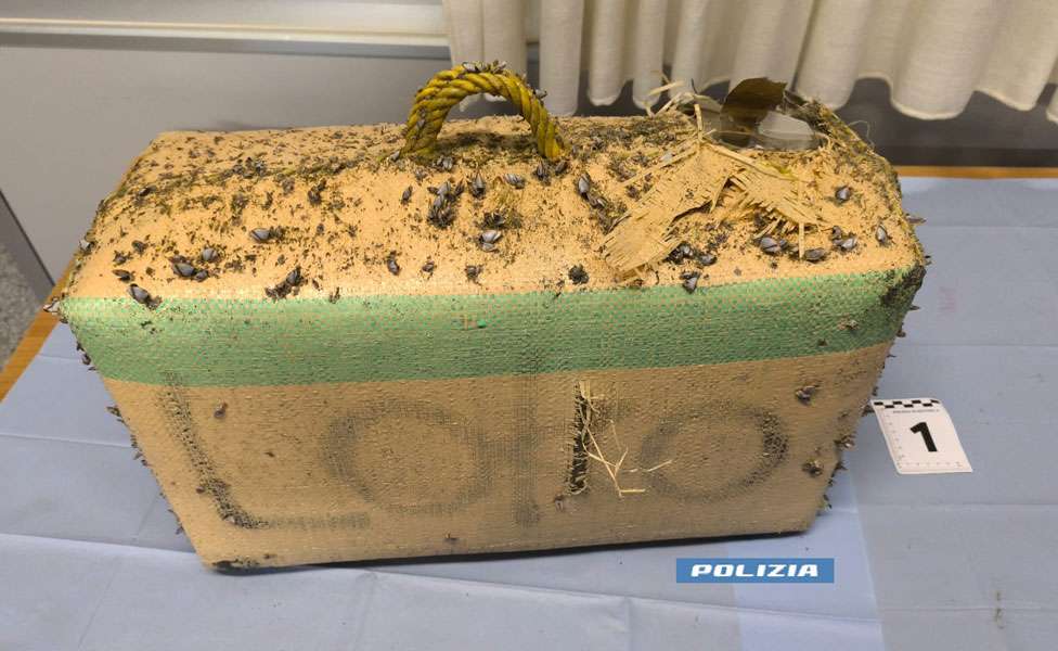 hashish gizzeria cestino spiaggia